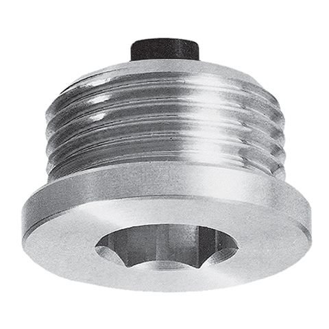Magnetic oil - drain plug with hex slot